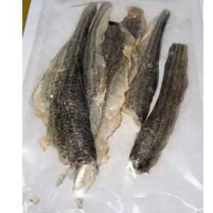 ปลาปลาแห้งโอพาริท ลิซาร์ด